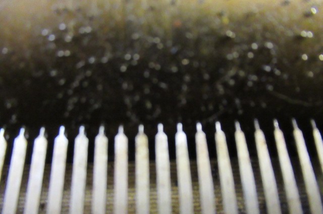 A VICTORIAN SWISS MUSICAL BOX Image