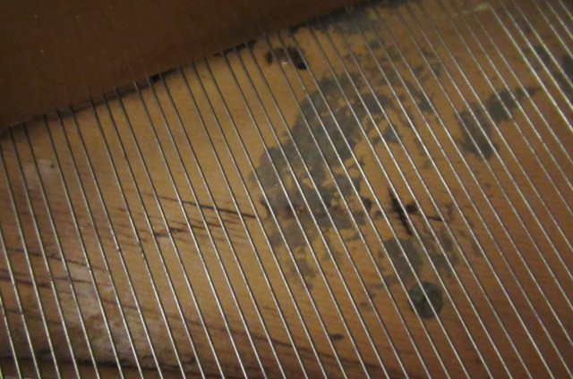 A BECHSTEIN BOUDOIR GRAND PIANO Image