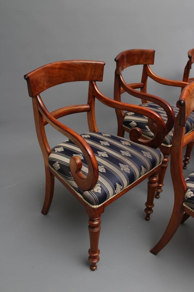 A SET OF SIX WILLIAM IV MAHOGANY DINING CHAIRS including two elbow chairs Image