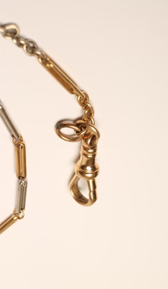 A BI-COLOUR DRESS WATCH CHAIN Image