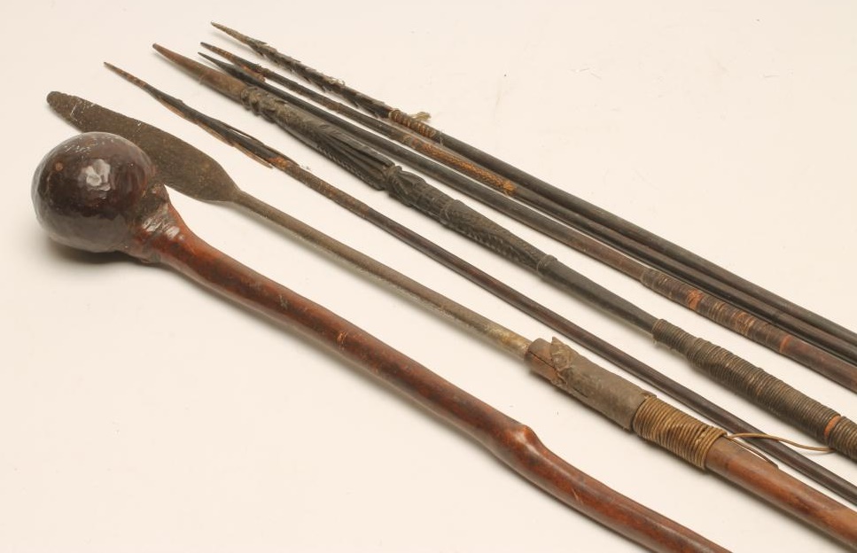 AN AFRICAN KNOBKERRIE Image