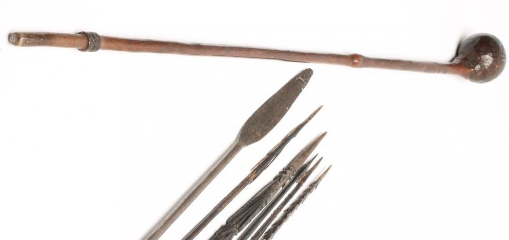 AN AFRICAN KNOBKERRIE Image