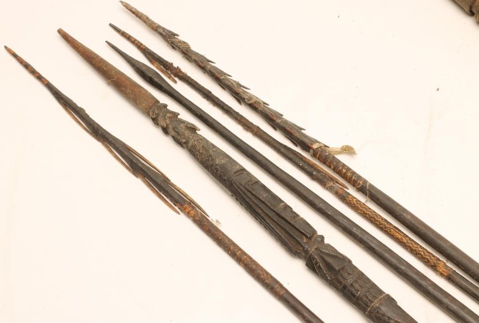 AN AFRICAN KNOBKERRIE Image