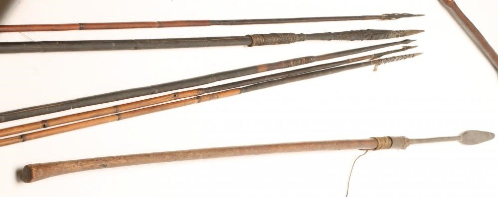 AN AFRICAN KNOBKERRIE Image