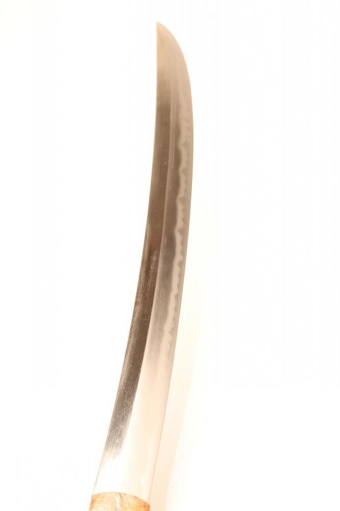 A JAPANESE EDO PERIOD WAKIZASHI Image