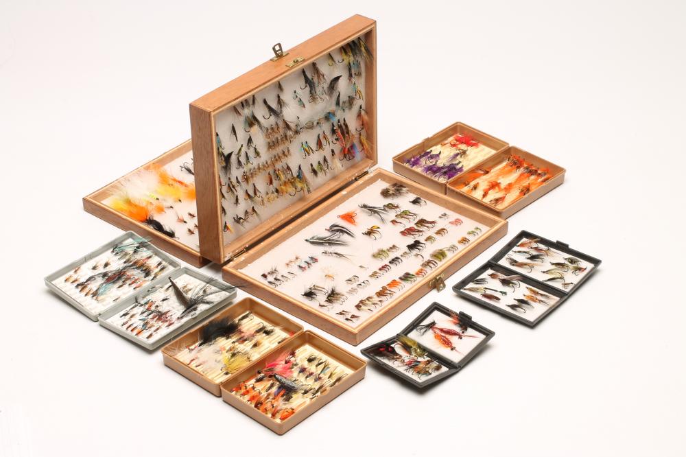 APPROXIMATELY 550 SALMON Image