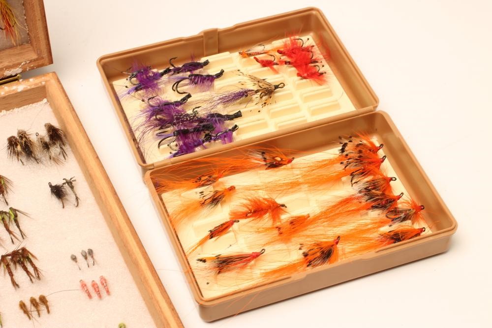 APPROXIMATELY 550 SALMON Image