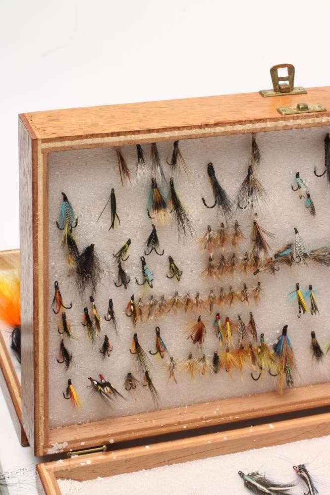 APPROXIMATELY 550 SALMON Image