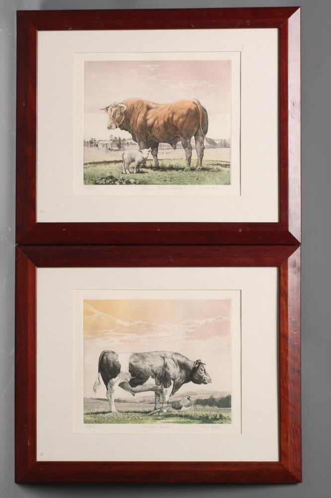 ‡SIMON BULL (b.1958) Image