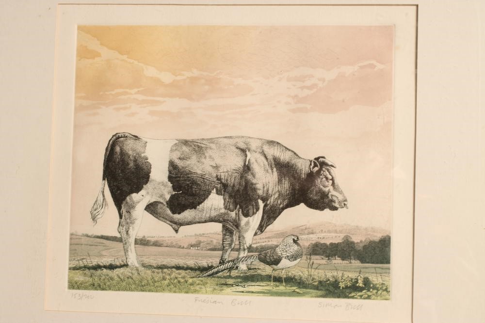 ‡SIMON BULL (b.1958) Image