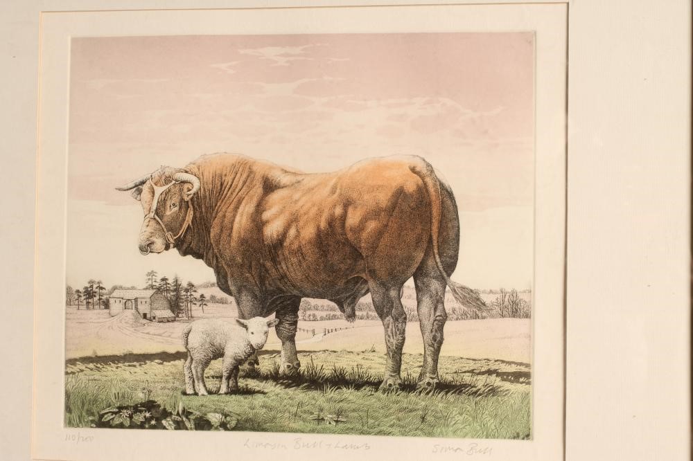 ‡SIMON BULL (b.1958) Image