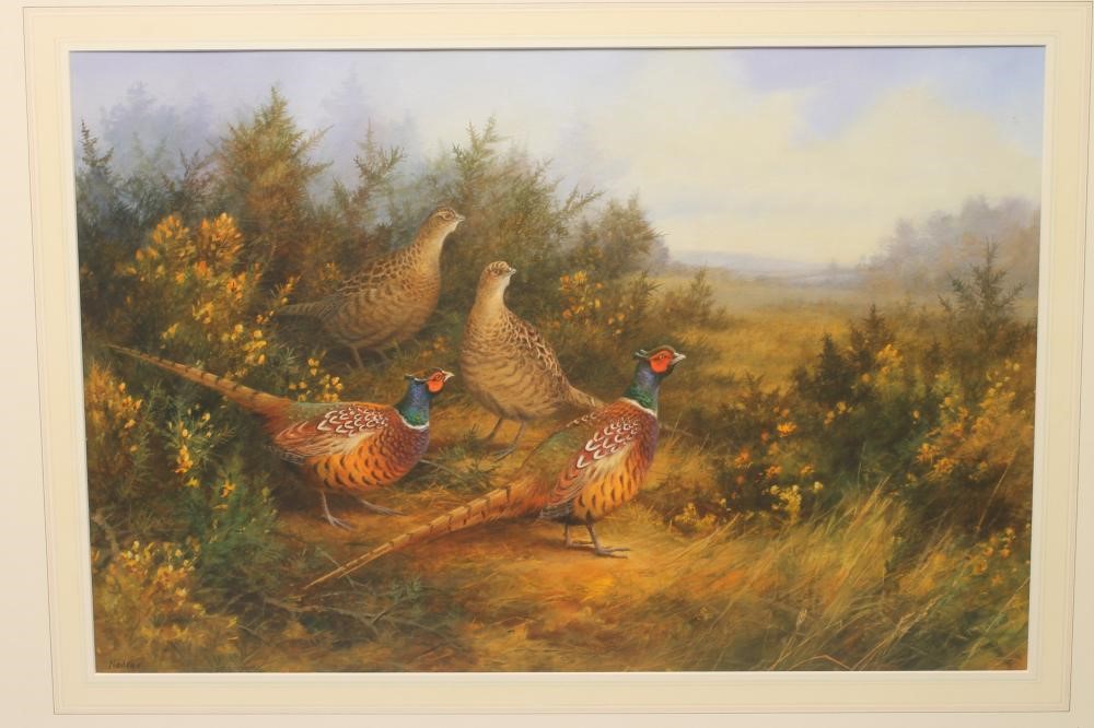 ‡NEIL COX (b.1955) Image