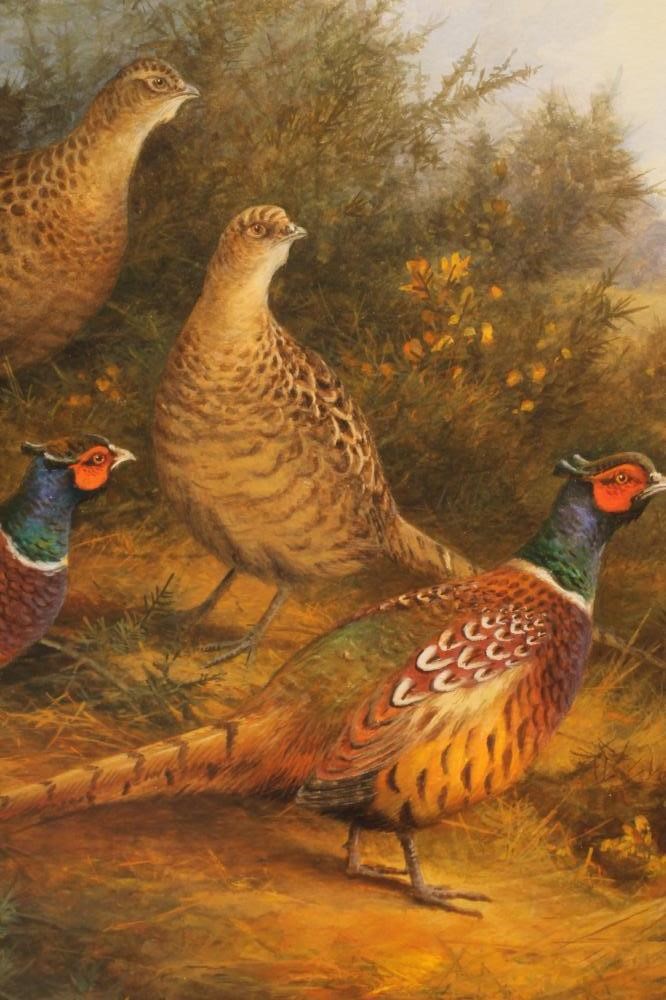 ‡NEIL COX (b.1955) Image