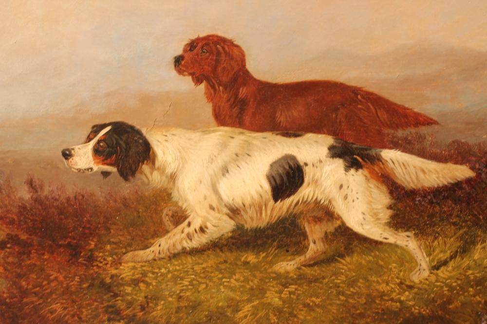 COLIN GRAEME ROE (1855-1910) Image