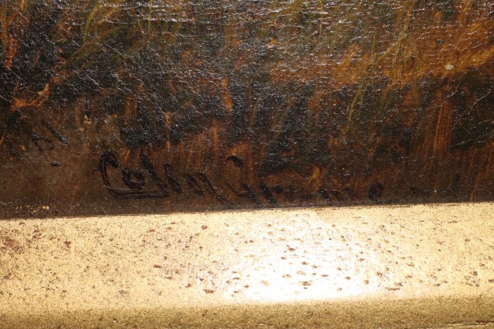 COLIN GRAEME ROE (1855-1910) Image