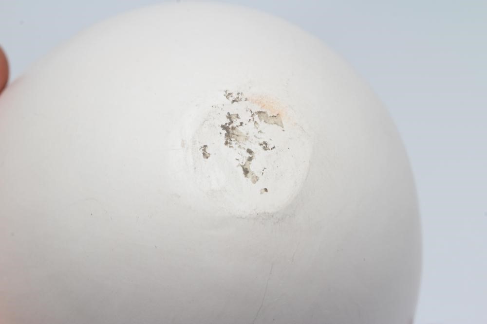 ELSPETH OWEN (b.1938) a porcelain eggshell pot with burnished surface, 5" high (Est. plus 24% Image