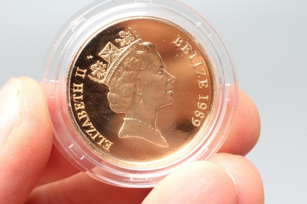 AN ELIZABETH II BELIZE $250 GOLD PROOF COIN, in capsule and cased with certificate (Est. plus 20% Image