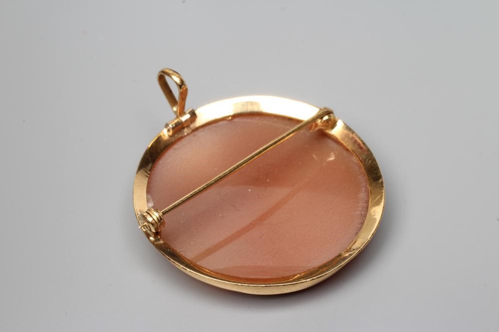 AN ITALIAN SHELL CAMEO, the circular panel cut with the head portrait of a young lady with flowing Image