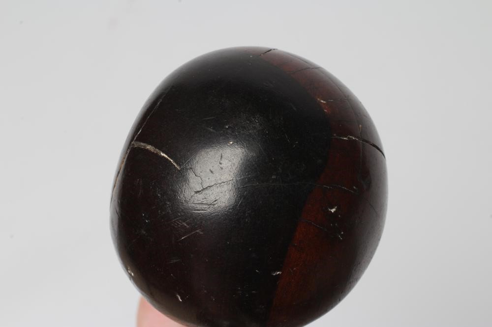 A ZULU KNOBKERRIE, late 19th century, with 28" shaft tapering to the grip and bi-colour head, 30 Image