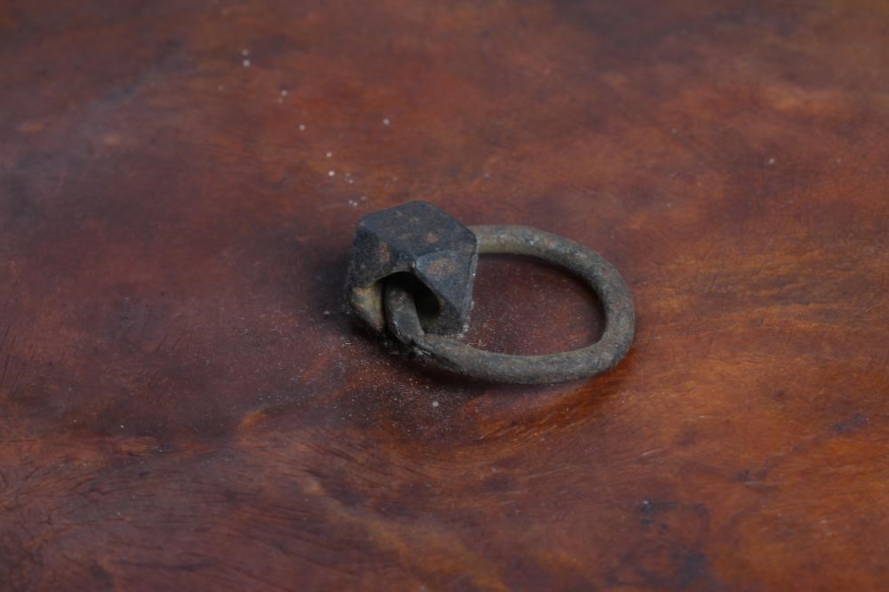 AN INDIAN DHAL HIDE SHIELD Image