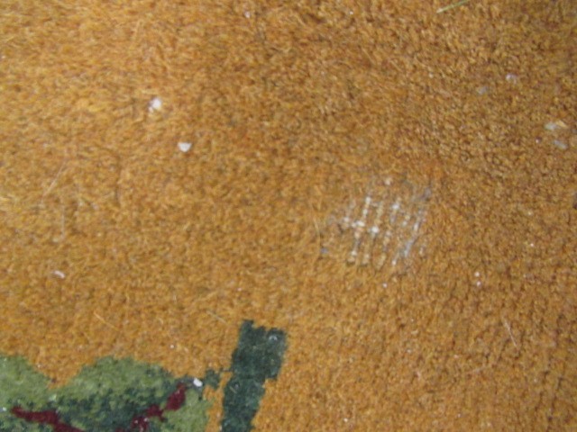 A CHINESE CARPET Image