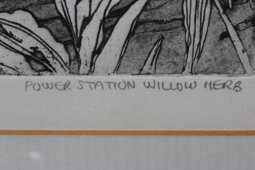 WENDY DE RUSETT (1945-2012) "Power Station Willow Herb" Image