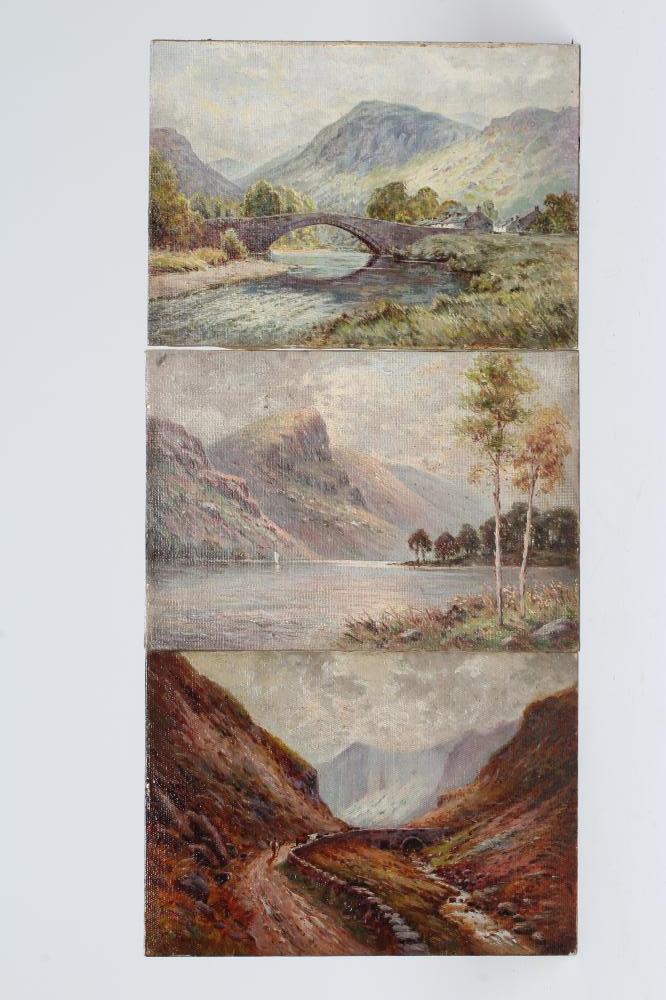 J C NICHOLSON (British School Image