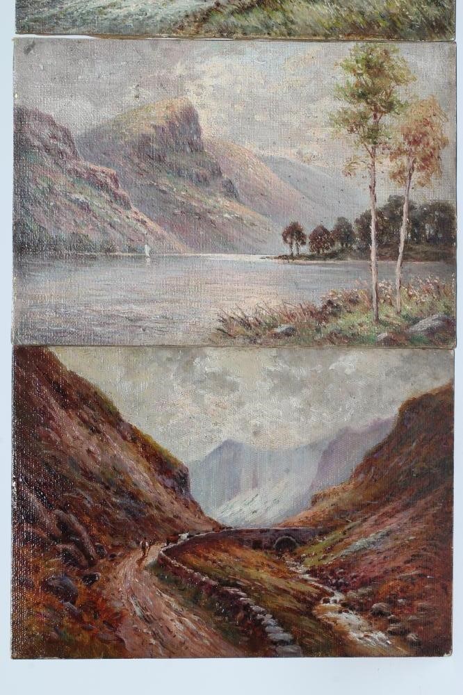 J C NICHOLSON (British School Image