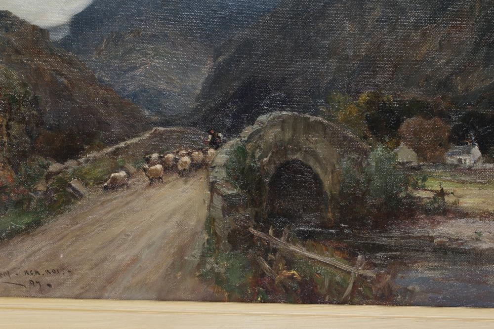 OWEN BOWEN (1873-1967) Sheep being driven over a bridge Image