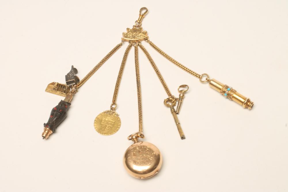 A GOLD SOVEREIGN CASE Image