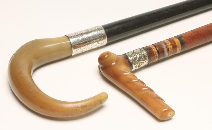 A WALKING STICK Image