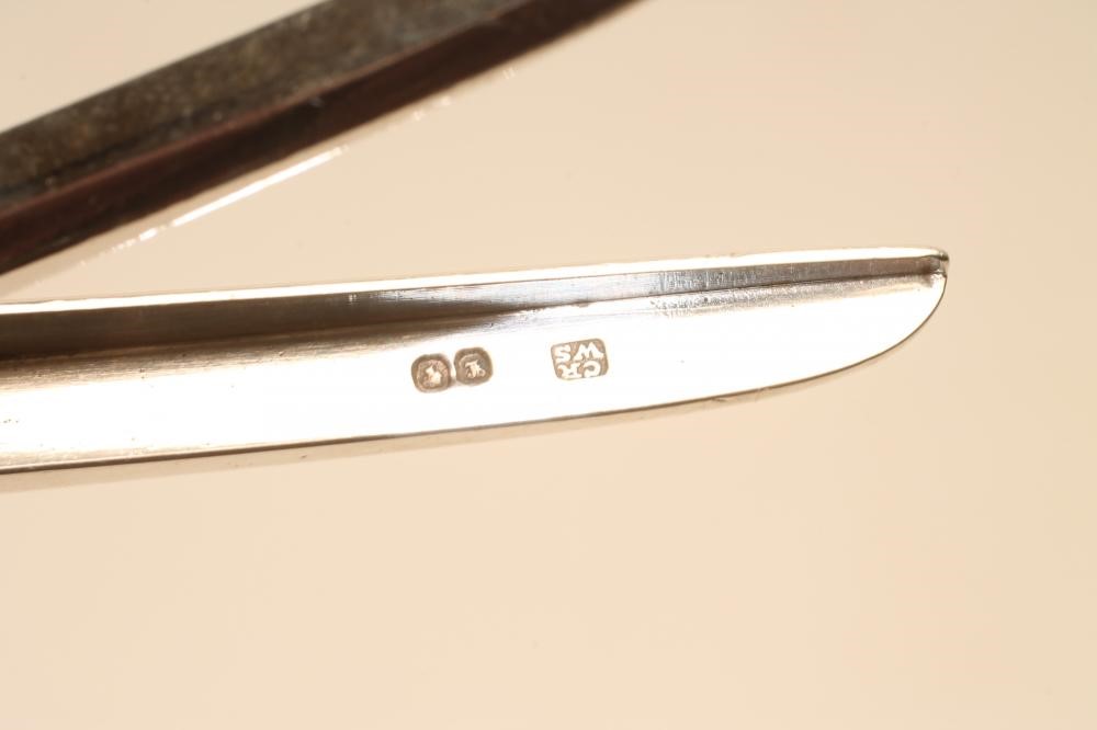 A PAIR OF VICTORIAN SILVER GRAPE SCISSORS Image