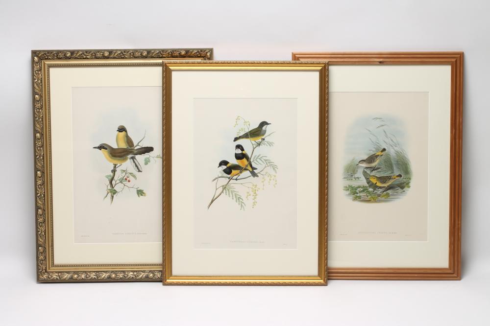 AFTER J GOULD AND J HART (19th Century) Image