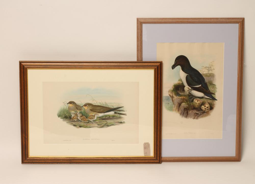 AFTER J GOULD AND H C RICHTER (19th Century) Image