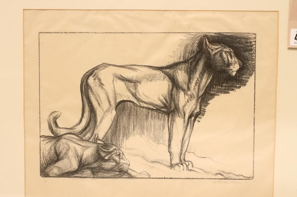 ‡ELSIE MARION HENDERSON (1880-1967) Image