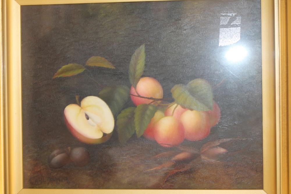 CARL WERNER (1808-1894) Image