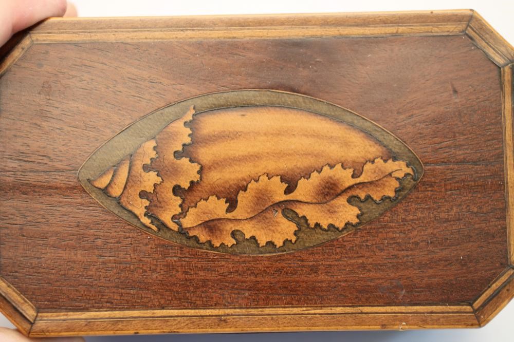 A LATE GEORGIAN MAHOGANY TEA CADDY of plain canted oblong form Image