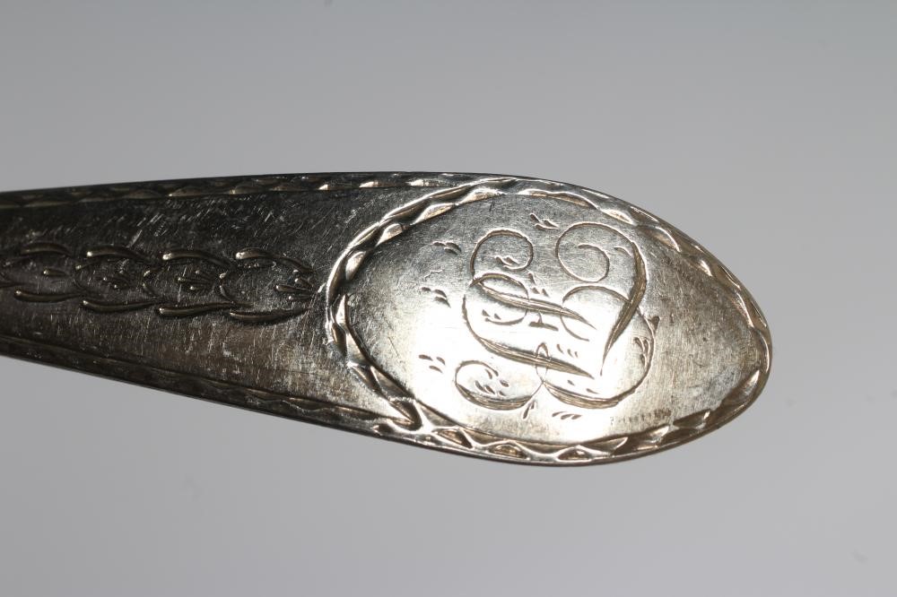 A PAIR OF GEORGIAN IRISH SILVER TABLESPOONS Image