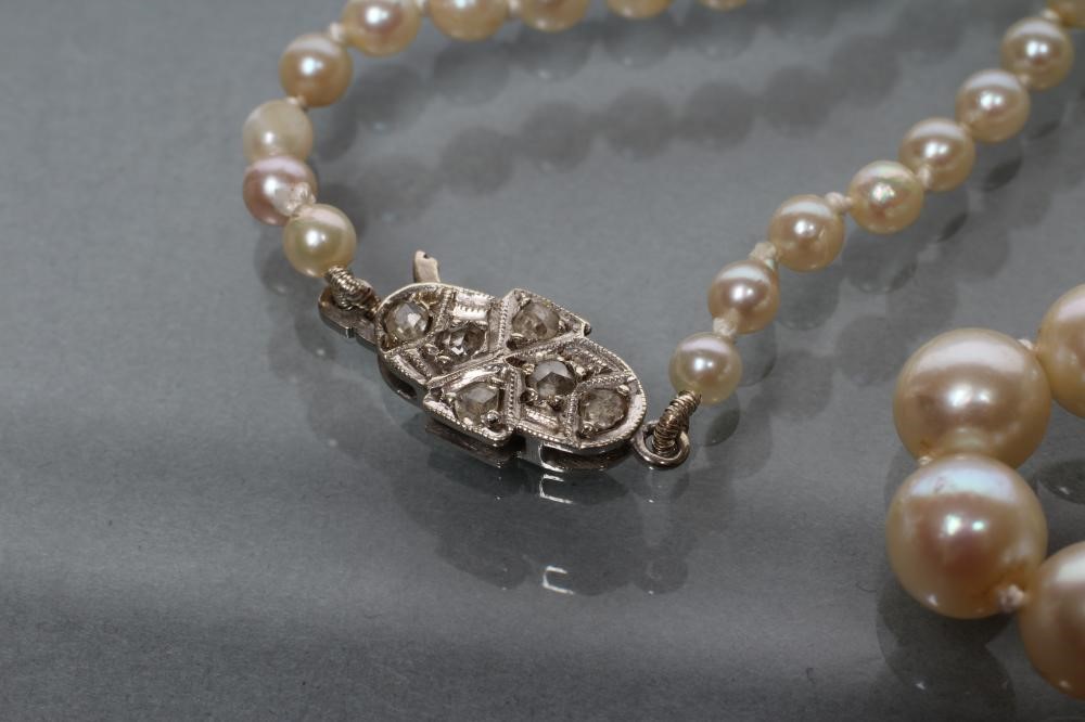 A SINGLE STRING OF CULTURED PEARLS Image