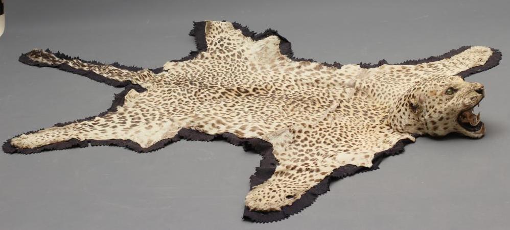 A TAXIDERMY LEOPARD SKIN HEAD RUG Image