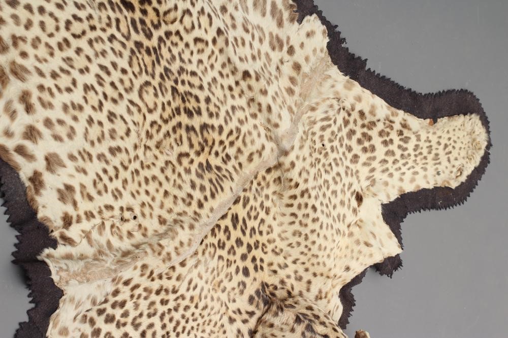 A TAXIDERMY LEOPARD SKIN HEAD RUG Image