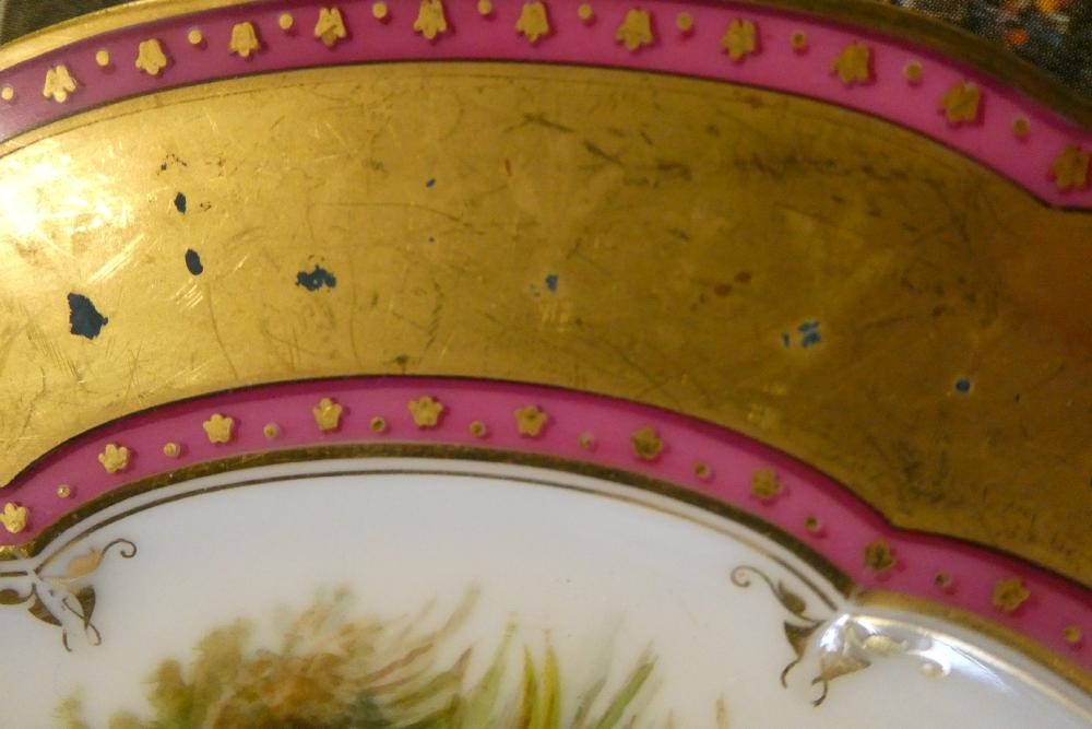 A SET OF NINE FRENCH PORCELAIN CABINET PLATES Image