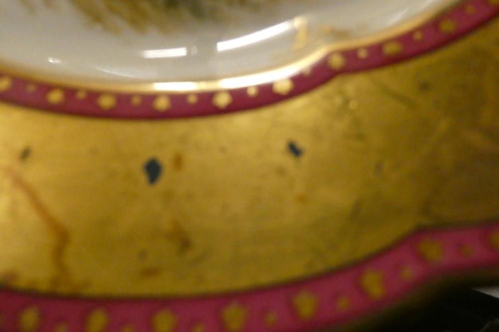 A SET OF NINE FRENCH PORCELAIN CABINET PLATES Image