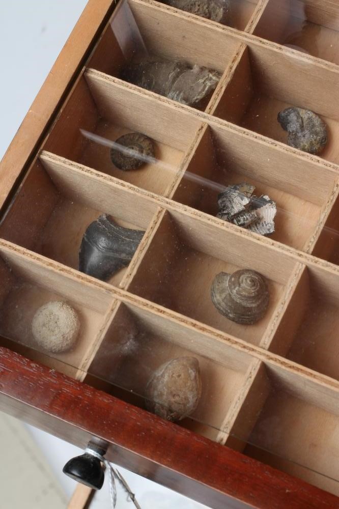 A MAHOGANY SPECIMEN CABINET Image