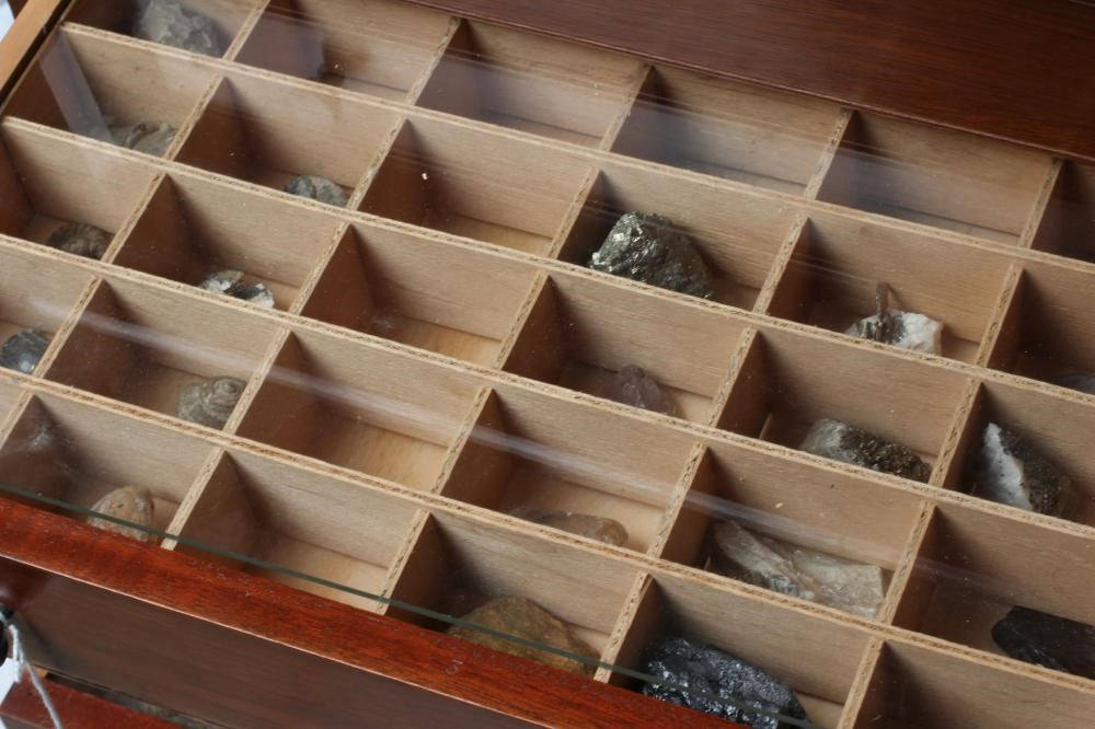 A MAHOGANY SPECIMEN CABINET Image