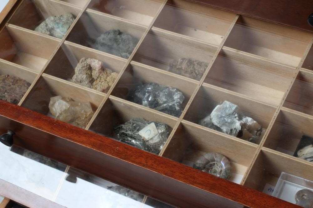 A MAHOGANY SPECIMEN CABINET Image