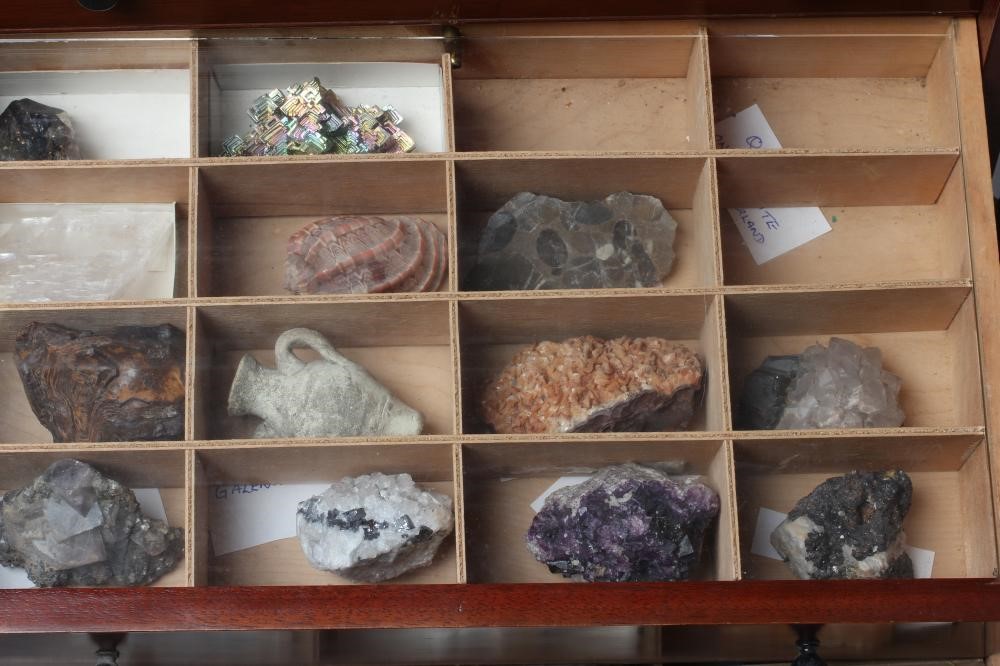 A MAHOGANY SPECIMEN CABINET Image