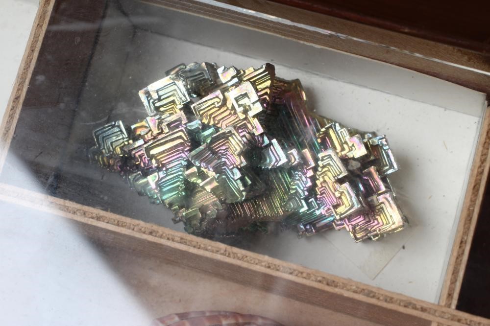 A MAHOGANY SPECIMEN CABINET Image