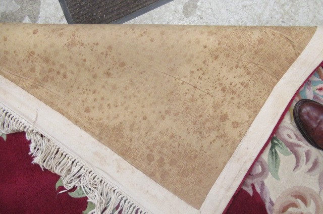 A CHINESE WASHED AND FRINGED CARPET Image