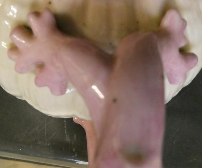 A VICTORIAN FIRST PERIOD BELLEEK PORCELAIN NAUTILUS TEA SERVICE with shaded pink rims Image